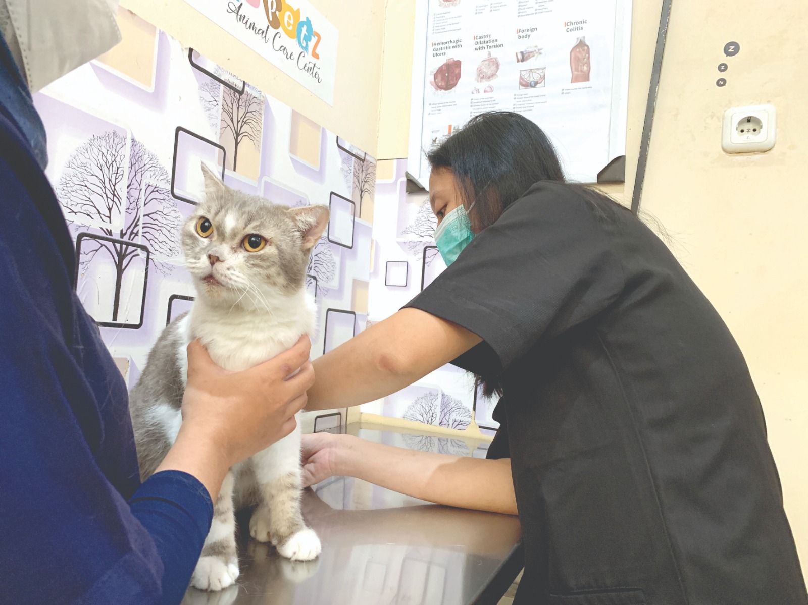Bersama Jaga Kesehatan Hewan Peliharaan: Vaksinasi Rabies Gratis di Blitar