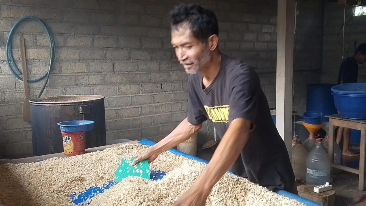 Dari Dapur Sederhana, Pengusaha Tempe Nasruddin Mencapai Produksi 80 Kg Per Hari