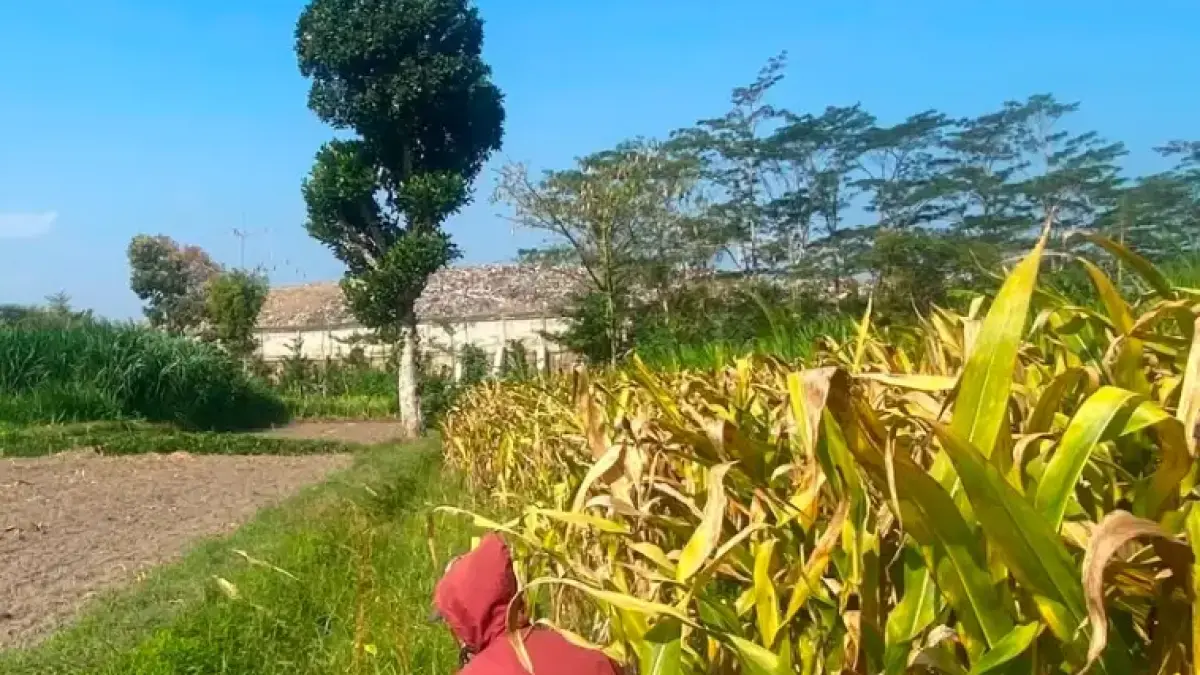 DLH Kota Blitar Bersinergi dengan Kejaksaan untuk Perluasan TPA Ngegong