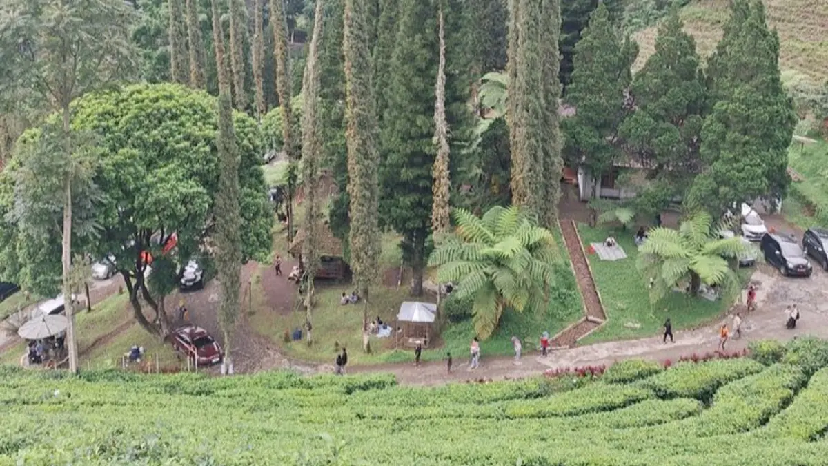 Eksplorasi Wisata Alam Sirah Kencong Blitar: Kebun Teh dan Air Terjun Indah untuk Keluarga