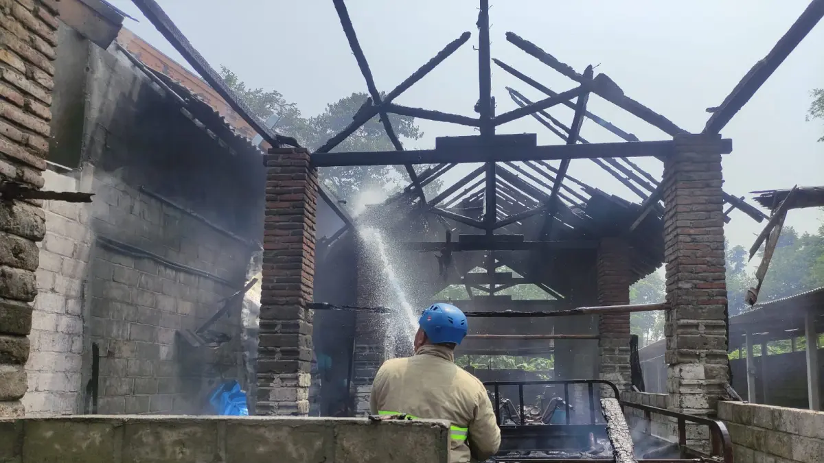 Kebakaran Gudang Pakan Bebek di Ponggok: Kerugian Rp60 Juta Akibat Pembakaran Sampah