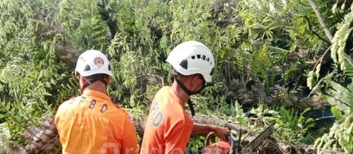 Kepala Stasiun Meteorologi Juanda Imbau Warga Blitar Waspadai Angin Kencang