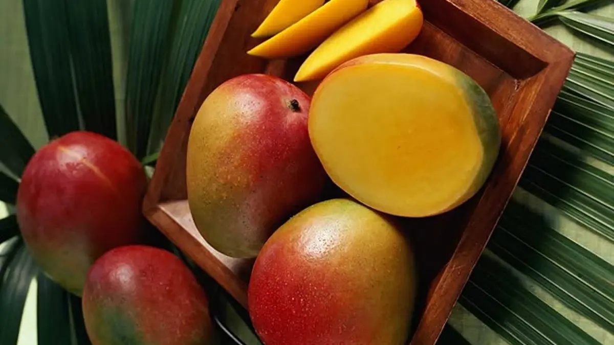 Menelisik Manfaat Mangga Harum Manis untuk Kesehatan, Penting bagi Penderita Diabetes