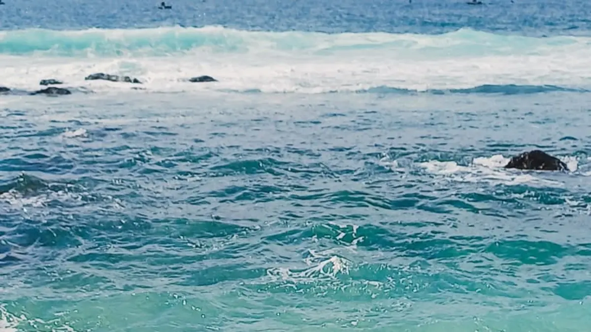 Menelusuri Keindahan Pantai Trenggalek: Tujuh Destinasi Populer yang Wajib Dikunjungi
