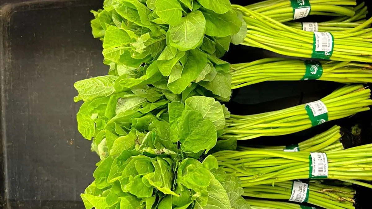 Mengenal Manfaat Sayur Bayam: Lebih dari Sekadar Pencegah Anemia
