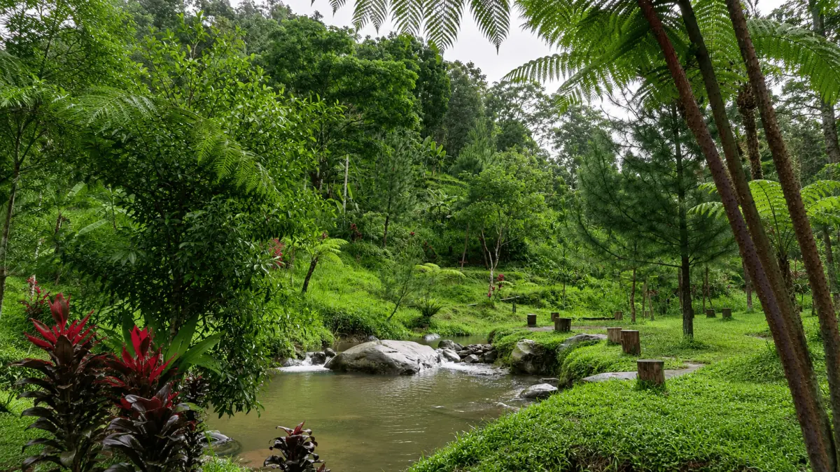 Menikmati Keindahan Alam di Jamburono Camping Ground, Blitar