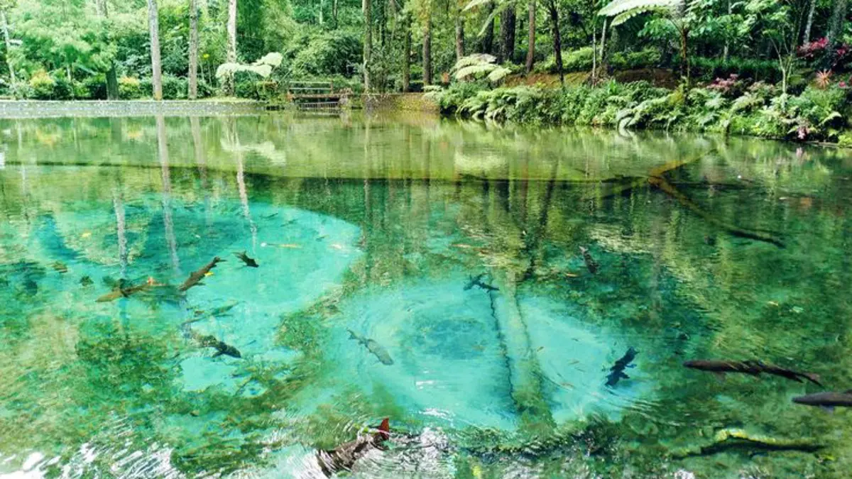 Misteri Legenda Rambut Monte: Antara Mbah Monte, Ikan Dewa, dan Harapan Warga Blitar