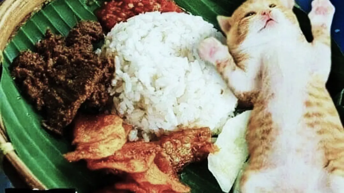 Nasi Kucing Angkringan: Kombinasi Lauk Lezat yang Memikat Selera Masyarakat Blitar
