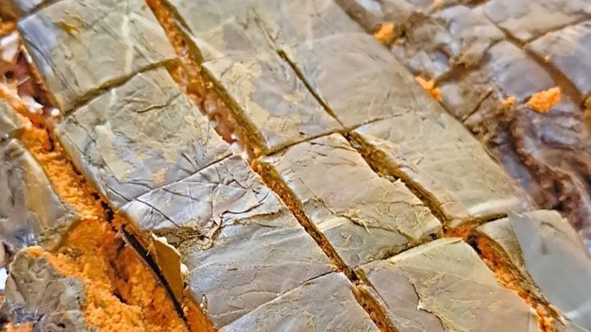 Pendap Bengkulu: Kuliner Tradisional dengan Aroma Khas yang Memikat