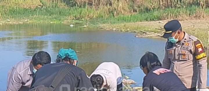 Penemuan Mayat Mengguncang Masyarakat Tapan Kedungwaru, Tindak Lanjut Polisi Diharapkan