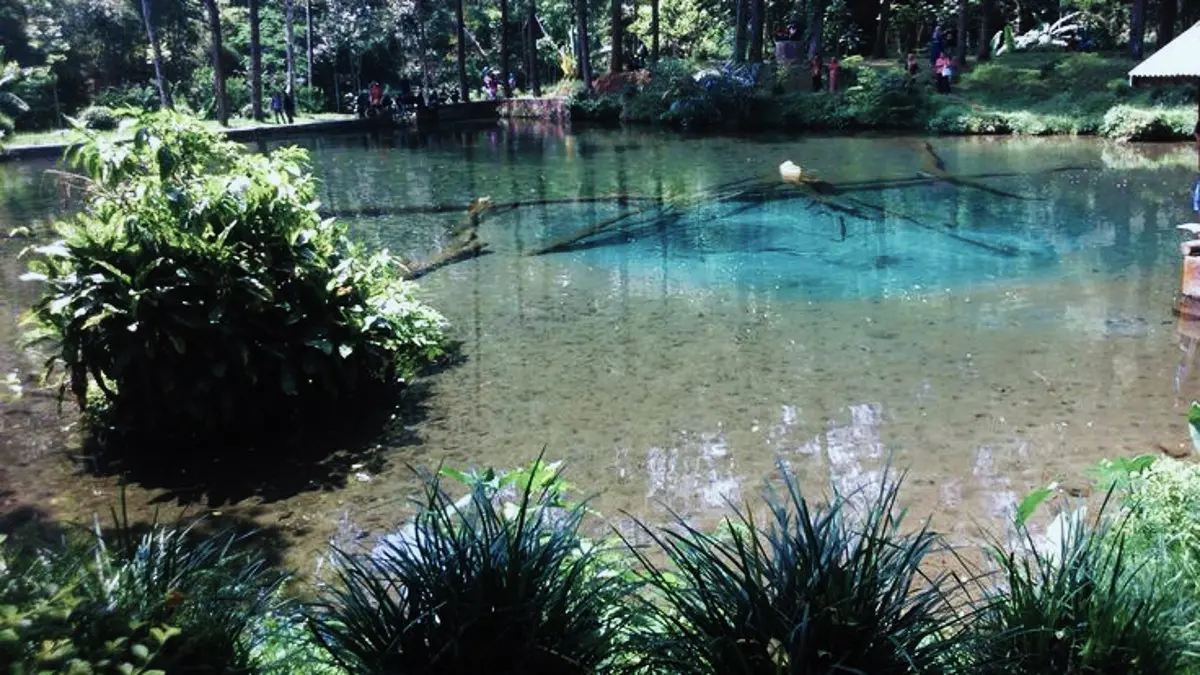 Rambut Monte Blitar: Keajaiban Alam, Ikan Dewa, dan Legenda yang Hidup di Tengah Masyarakat