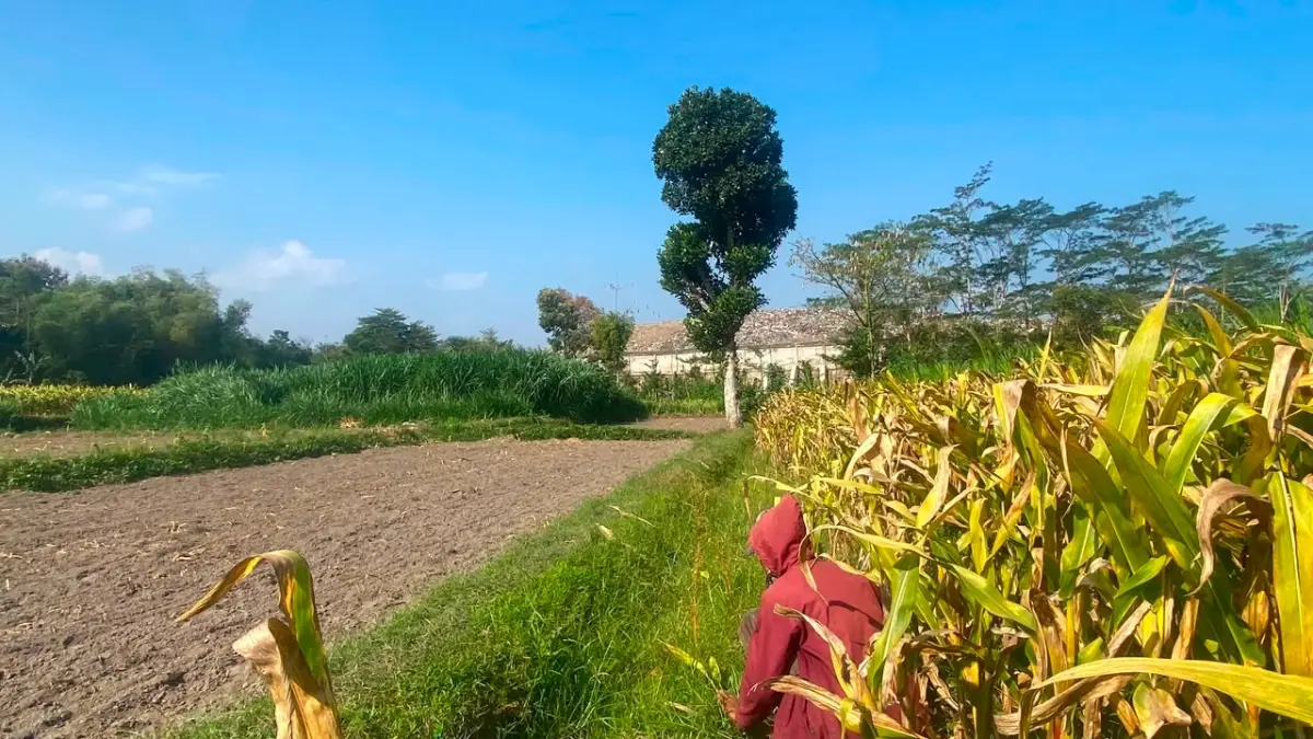 Tantangan Pengembangan TPA Ngegong: Pemkot Blitar Butuh Dukungan Pusat
