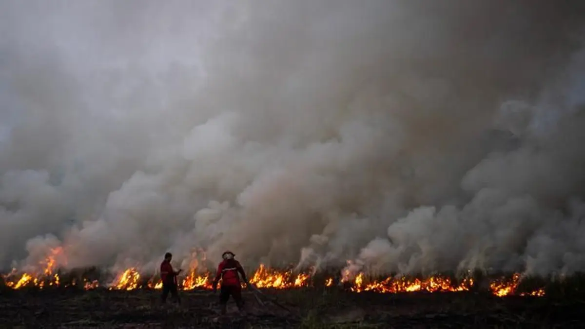 Tingkat Titik Panas di Indonesia Mencapai 17.108, Kalimantan Tengah Teratas
