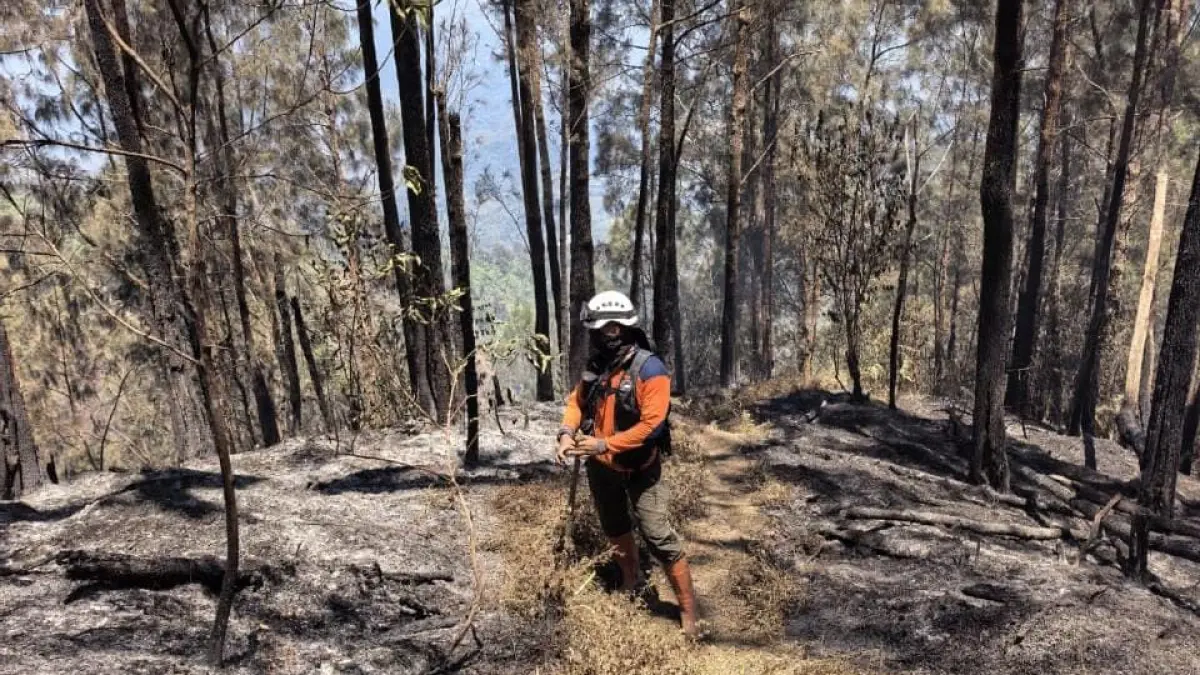 Upaya Pemadaman Karhutla Gunung Butak Melalui Water Bombing, Tiga Sortie Lakukan Pengguyuran