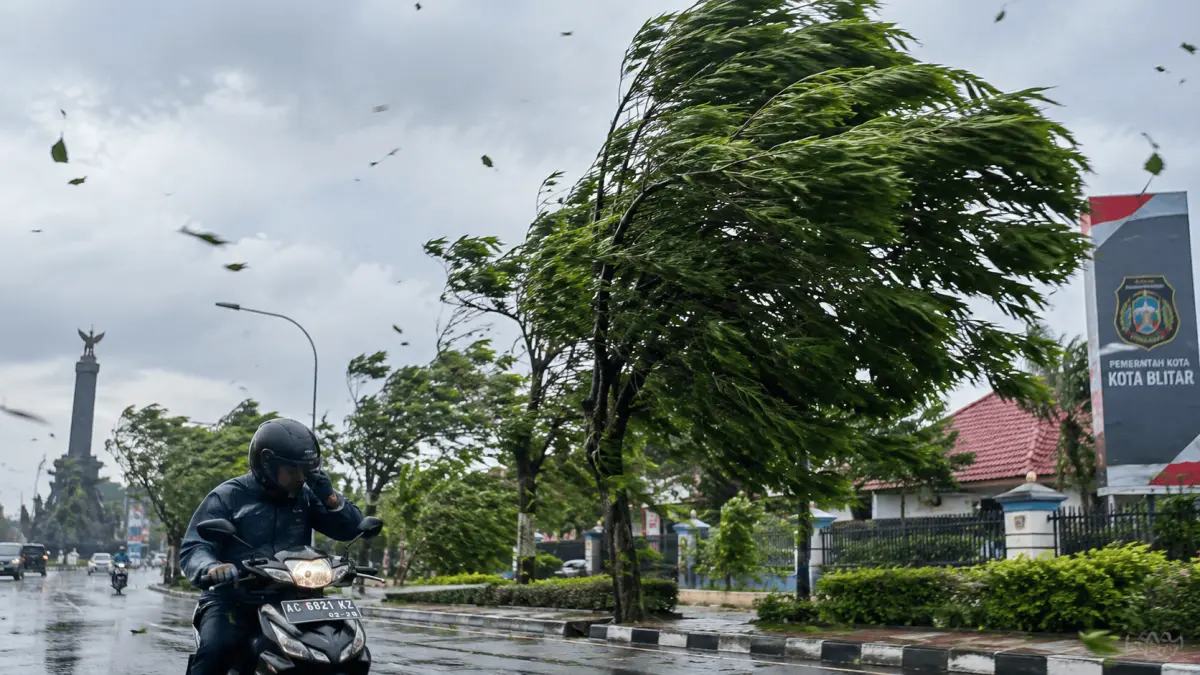 Waspada Angin Kencang: Kecepatan Tembus 48 Km/Jam Ancaman bagi Warga Blitar