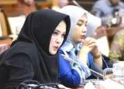 Pemerintah Diminta Perkuat Pengawasan untuk Cegah Sindikat dan Kejahatan Siber