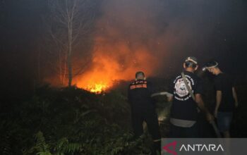 Kebakaran Hutan di Singkawang Meluas Hingga 31 Hektare, Pemadaman Kesulitan karena Asap Tebal