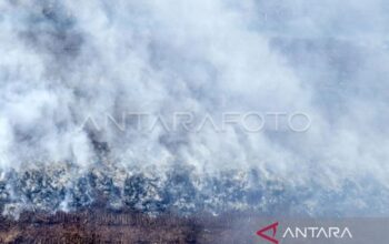Kebakaran Hutan di Muaro Jambi Terhambat oleh Sulitnya Akses dan Sumber Air
