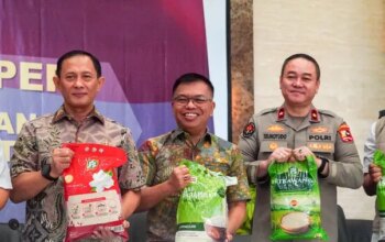 Stok Beras Nasional Aman, Masyarakat Diminta Tidak Panic Buying