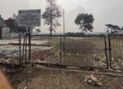Pembangunan Pasar Burung di Lenteng Agung: Lokasi Masih Kosong dan Rencana Taman Pepohonan