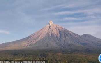 Gunung Semeru Erupsi, Kolom Abu Tembus 700 Meter di Atas Puncak