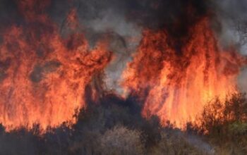 Kebakaran Hutan di California Lalap 80 Ribu Hektare Lahan dalam 5 Hari