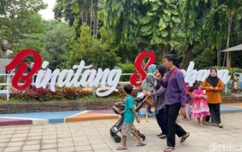 Kebun Binatang Surabaya Siapkan Promo Meriah HUT RI ke-80 dengan Tiket Masuk Rp 8.000