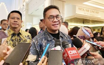 Harga Beras Turun Usai Percepatan Distribusi dan Pengawasan Pemerintah