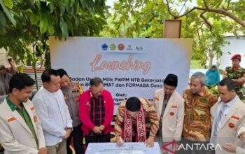 Muhammadiyah NTB: Seabad Berkembang dari Surau ke Universitas Global