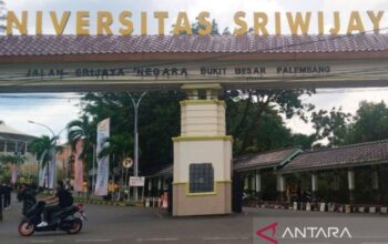 Kemdiktisaintek Minta Perguruan Tinggi Fokus pada Pembinaan Mahasiswa Baru Setelah Insiden Himateta Unsri