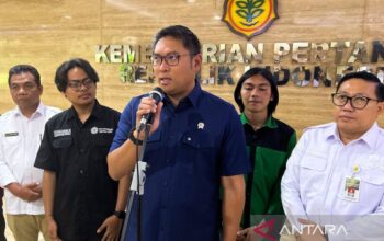 Wamentan Klarifikasi Isu Impor Beras Khusus untuk Restoran, Bukan Konsumsi Umum
