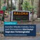 Kaloka, Destinasi Wisata yang Terbengkalai Pasca Pandemi Covid-19