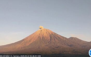 Gunung Semeru Erupsi, Kolom Abu Tercatat 700 Meter di Atas Puncak