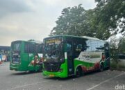 Bus Trans Jatim Koridor VII Segera Hadir, Hubungkan Lamongan dan Paciran Oktober 2025