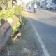 Pengemudi Mabuk Diamuk Massa Usai Tabrak Lari di Blitar