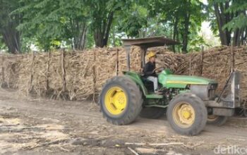 PG Candi Baru Mulai Jual Gula Meski Stok Melimpah untuk Dukung Petani dan Stabilitas Pasokan