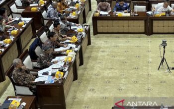 Investasi Danantara Diharapkan Meningkat hingga 2029 untuk Dorong Ekonomi
