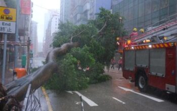 17 Tewas, 17 Hilang Akibat Topan Ragasa di Taiwan