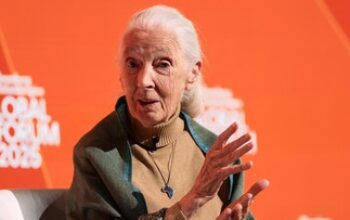 Jane Goodall, Ilmuwan Primata dan Aktivis Lingkungan, Meninggal Dunia di Usia 91 Tahun